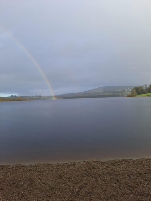 Day Car Trip Explore Amazing County Wicklow , Dublin-Wicklow - Comfortable Private Transportation