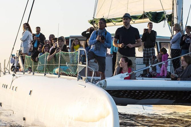 Day Catamaran Trip: Cap Des Freus and Llevant Natural Park - Onboard Dining and Drinks