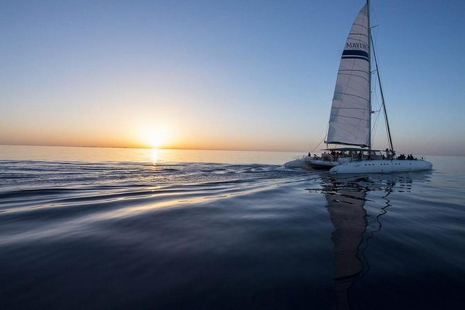 Day Catamaran Trip: Cap Des Freus and Llevant Natural Park - Meeting Point and Accessibility