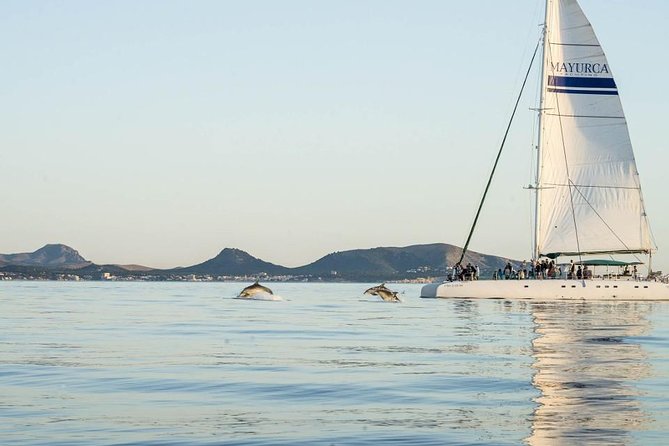 Day Catamaran Trip: Cap Des Freus and Llevant Natural Park - Inclusions and Transfer Options