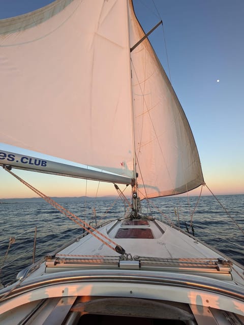 Day Charter in Benalmadena - Key Points