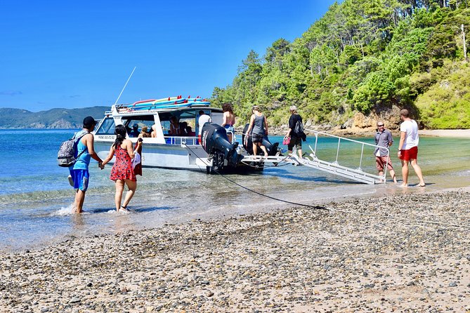 Day Cruise & Island Tour - Snorkel/Wildlife/Paddleboard/Islands - Booking and Cancellation Policy