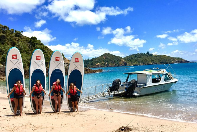 Day Cruise & Island Tour - Snorkel/Wildlife/Paddleboard/Islands - Accessibility and Participant Suitability