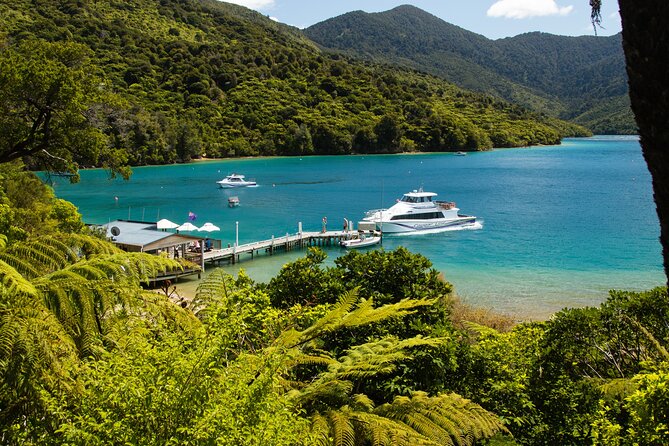 Day Cruise & Lunch at Punga Cove Resort - Location and Meeting Point