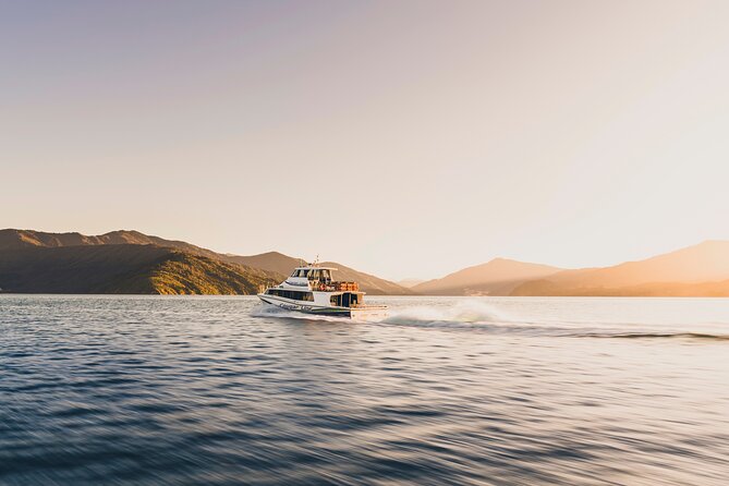 Day Cruise & Lunch at Punga Cove Resort - Booking Confirmation and Check-in
