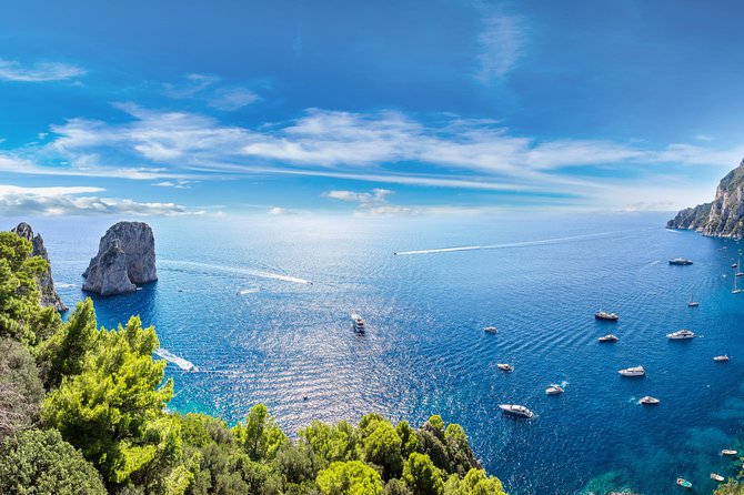 Day Cruise to Capri Island From Sorrento - Confirmation and Accessibility Information