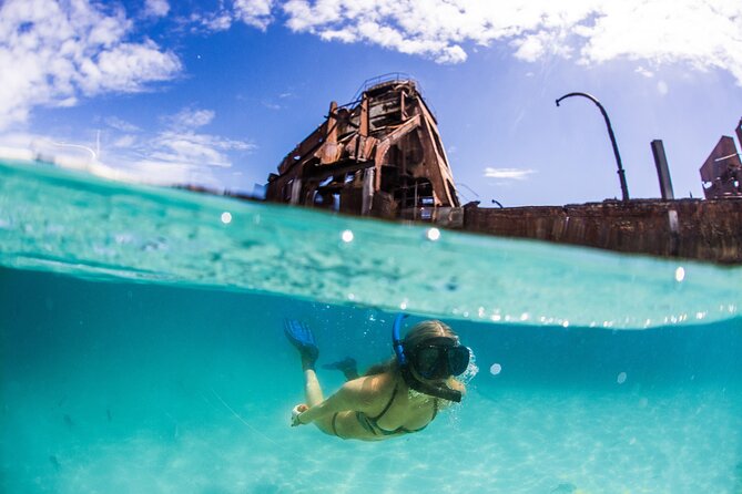 Day Cruise to Tangalooma Island Resort on Moreton Island - Recommendations for Visitors
