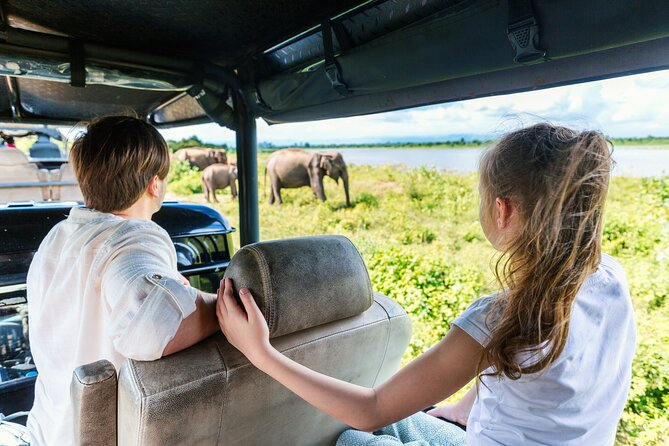 Day Excursion at Udawalawe National Park From Galle - Safari Experience at Udawalawe