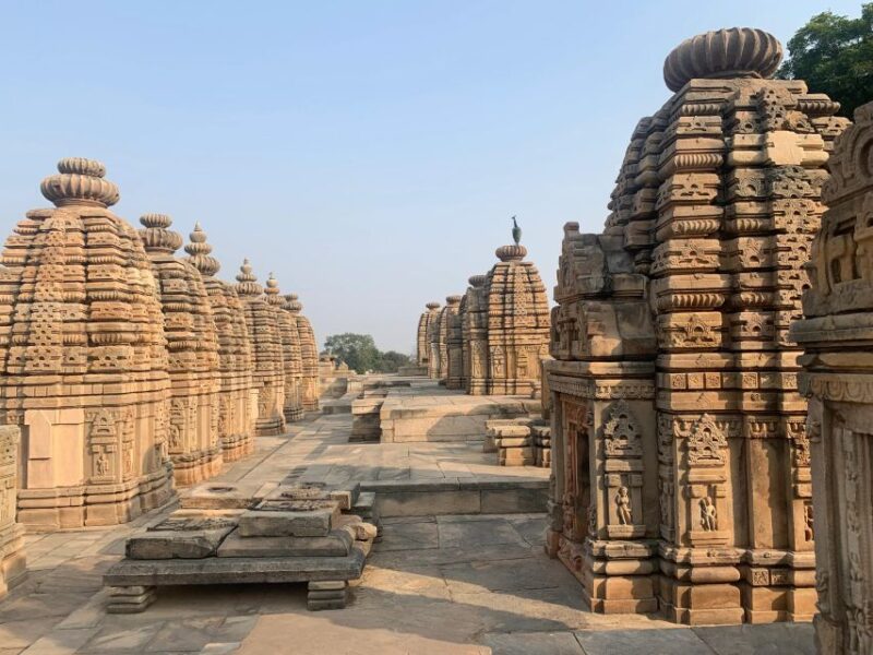 Day Excursion From Agra (Chambal Boat Safari) - Reservation and Cancellation Policy