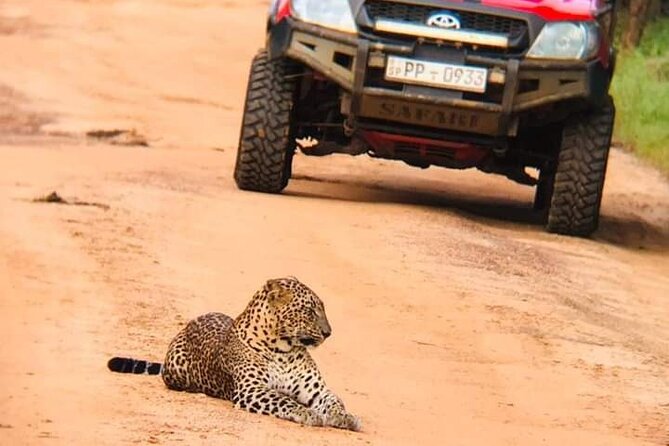 Day Excursion From Colombo to Yala Safari (Leopard Safari Tour) - Inclusions and Amenities