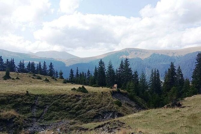 Day Excursion To Gulmarg From Srinagar With Lunch - Pickup and Meeting Details