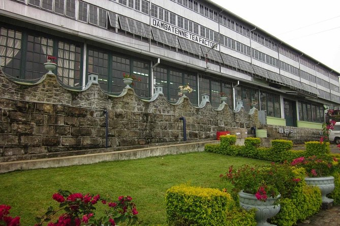 Day Excursion to Lipton Seat & Dambatenne Tea Factory From Ella - Health and Safety Requirements
