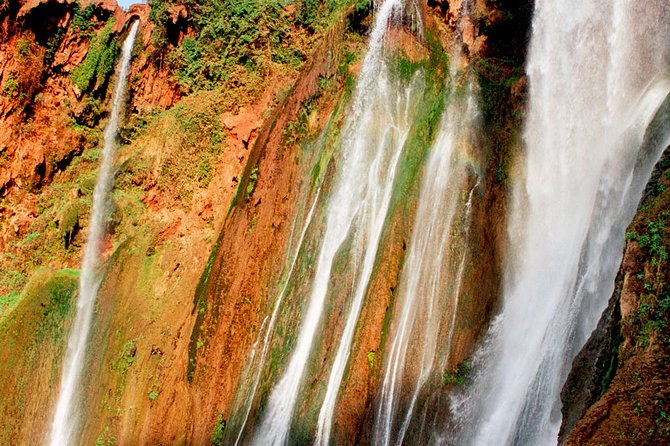 Day Excursion to Ouzoud Waterfall From Marrakech: Private - Inclusions and Accessibility