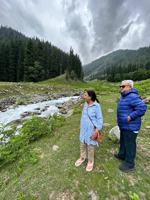Day Excursion To Sonamarg - Experience Description