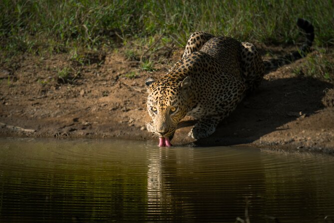 Day Excursion to Yala National Park From Colombo - Cancellation and Payment Options