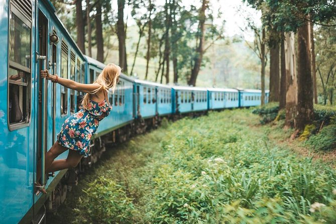 Day Excursions to Horton Plains & Local Train Experience From Ella - Inclusions