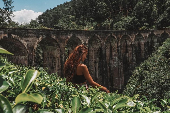 Day Excursions to Horton Plains & Local Train Experience From Ella - Health and Accessibility
