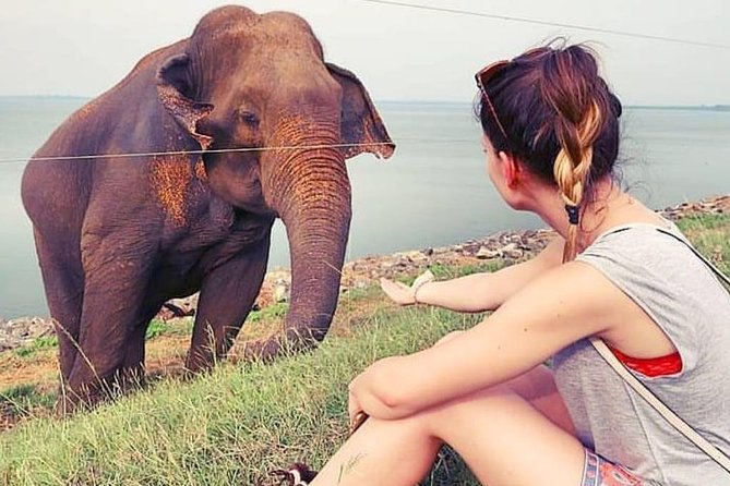 Day Excursions To Udawalawe National Park From Negombo - Pickup Information