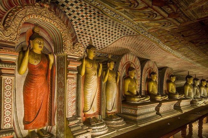 Day Execution From Last Kingdom of Kandy to Rock Forest Sigiriya - Inclusions