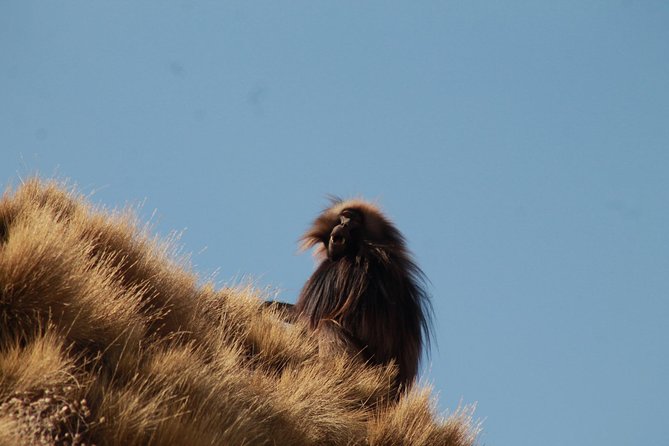 Day Hike Around Lalibela - Booking and Cancellation Policies