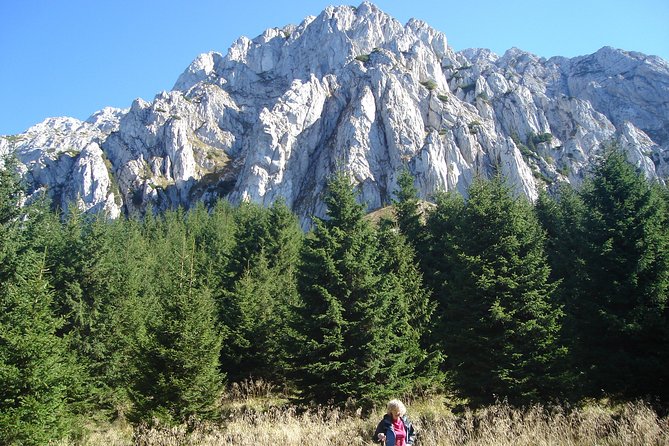 Day Hike in Carpathian Mountains for All Levels in Five Areas - Tour Inclusions and Details