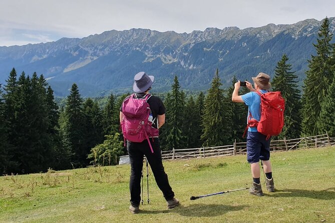 Day Hike in Carpathian Mountains for All Levels in Five Areas - Hiking Experience and Terrain