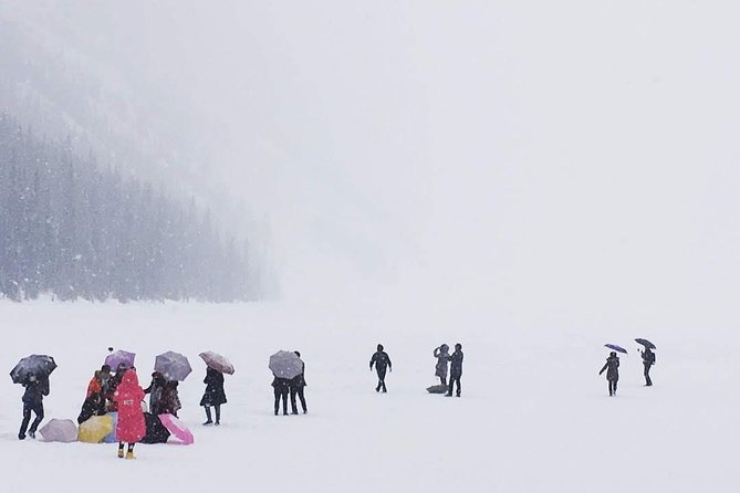 Day Hike in Lake Louise - Restrictions and Requirements