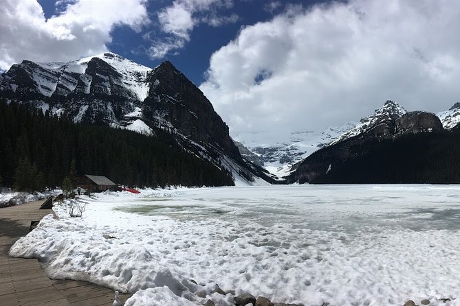 Day Hike in Lake Louise - Local Flora and Fauna