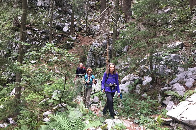 Day Hike in National Park Risnjak From Zagreb - Overview and Details