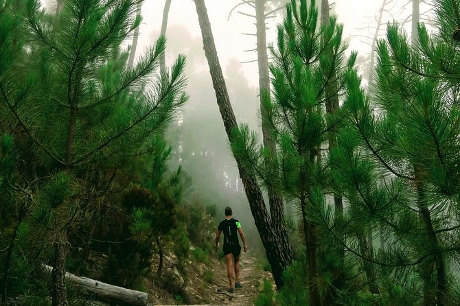 Day Hike in the Mountains of Sanremo - Meeting and Pickup Arrangements