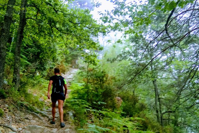 Day Hike in the Mountains of Sanremo - Lunch and Refreshments