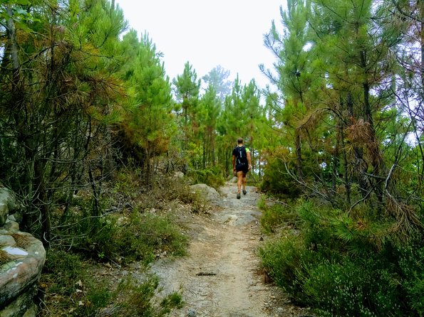 Day Hike in the Mountains of Sanremo - Group Size and Pricing