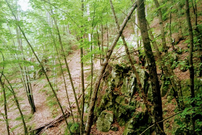 Day Hike in the Mountains of Sanremo - Verified Customer Reviews