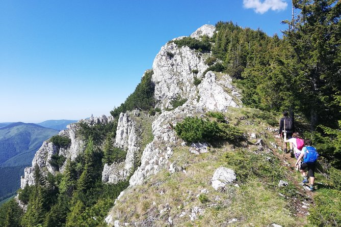 Day Hike PRIVATE - Piatra Craiului National Park - Meeting and Pickup Information