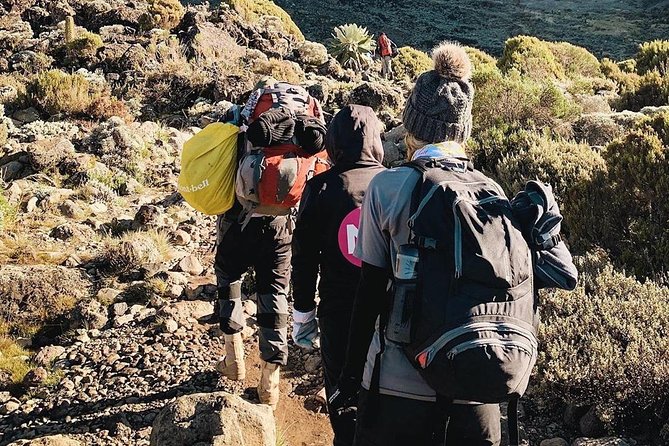 Day Hike to Mount Kilimanjaro (Mandara Hut) - Inclusions