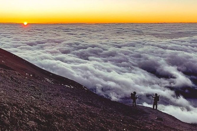Day Hike to Mount Kilimanjaro (Mandara Hut) - Booking and Cancellation Policy