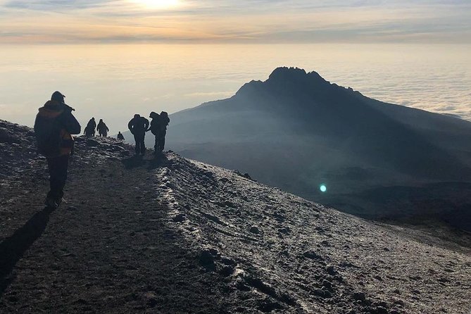 Day Hike to Mount Kilimanjaro (Mandara Hut) - Highlights of the Hike