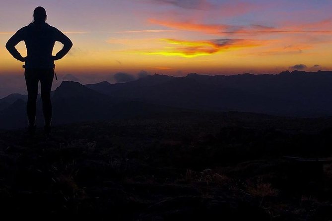 Day Hike to Mount Kilimanjaro (Mandara Hut) - Recap