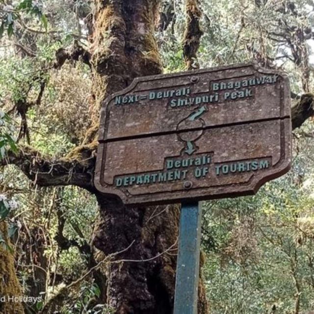 Day Hike to Shivapuri National Park From Kathmandu - Pricing and Reservation Details
