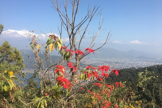 Day Hiking From Sarangkot to World Peace Pagoda From Pokhara - Operator Information