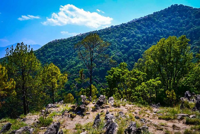 Day Hiking Tour in Kathmandu Suitable for Small Group, Family and Children. - Booking Information