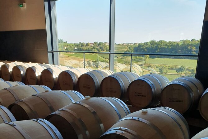 Day in Saint-Emilion - Medieval Village and Wine Tasting - Visiting the Monolithic Church