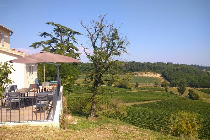 Day in Saint-Emilion - Medieval Village and Wine Tasting - Indulging in Wine Tastings