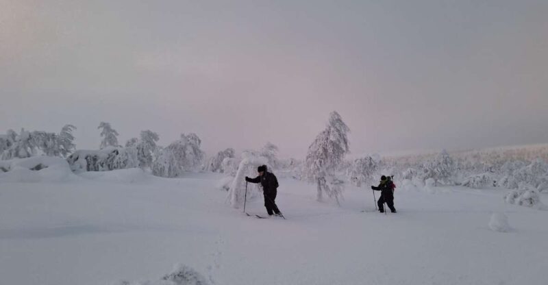 Day in the Tundra - Winter Trek & Smoke Sauna - Overview of the Activity