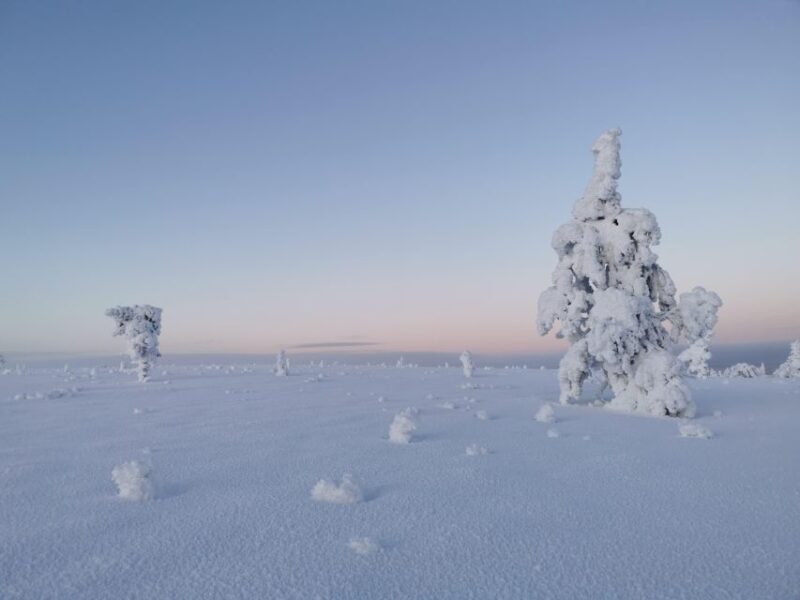 Day in the Tundra - Winter Trek & Smoke Sauna - Booking Information and Flexibility