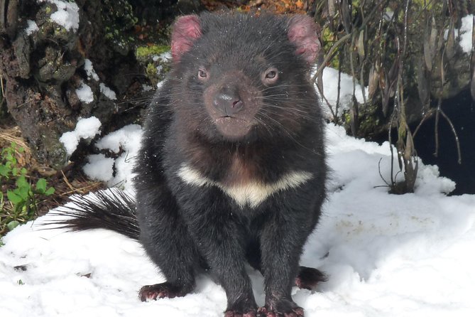 Day Keeper Tour - Animal Encounters and Exhibits