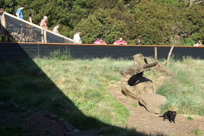 Day Keeper Tour - Visitor Ratings and Feedback