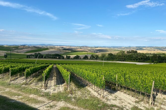 Day of Tastings in the Land of Super Tuscans From Lucca - Exploring the Lucca Landscape