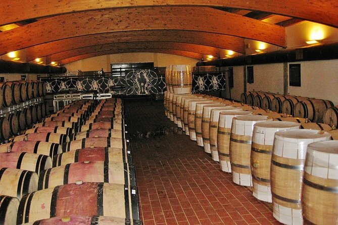 Day of Tastings in the Land of Super Tuscans From Lucca - Private Transportation and English-Speaking Driver