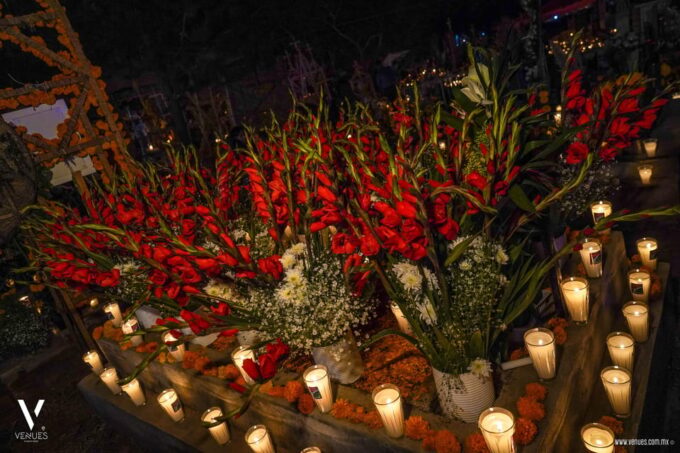 Day of the Dead, Michoacán Mexico - Health and Safety Considerations